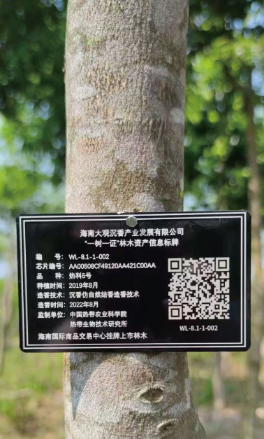 圖片3.png